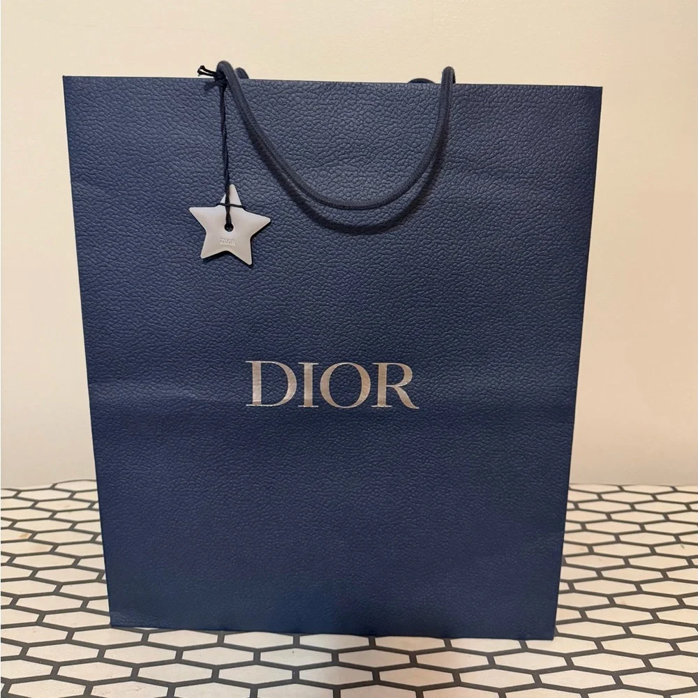 Dior Paper Bag, Large - Picture 1 of 6